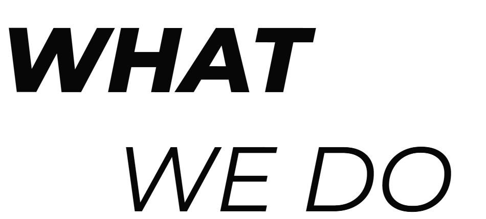 WHAT WE DO